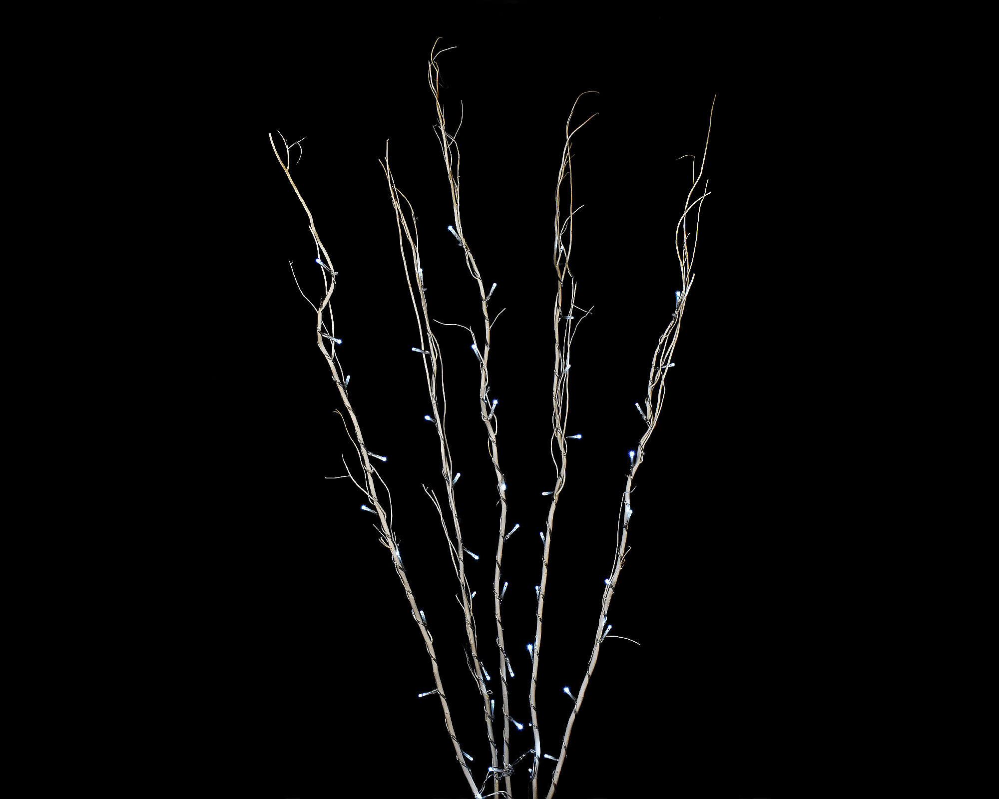 5 Rami Luminosi Di Colore Avorio