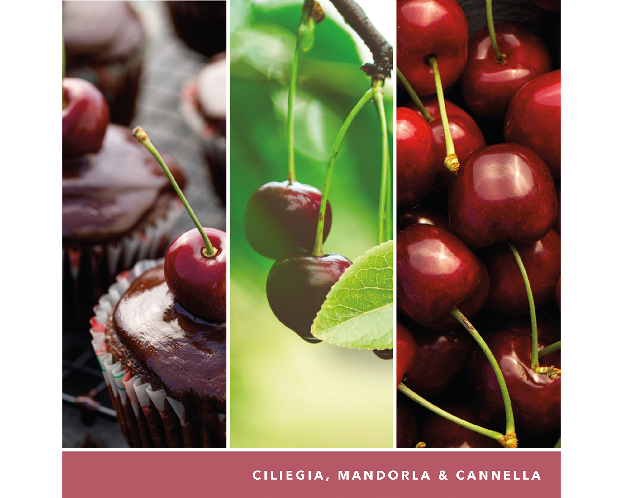 Candela Tumbler Grande Black Cherry - Yankee Candle - immagine 5