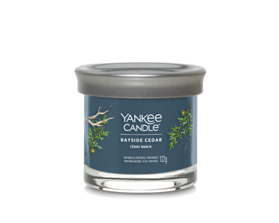 Candela Tumbler Piccola Bayside Cedar – Yankee Candle