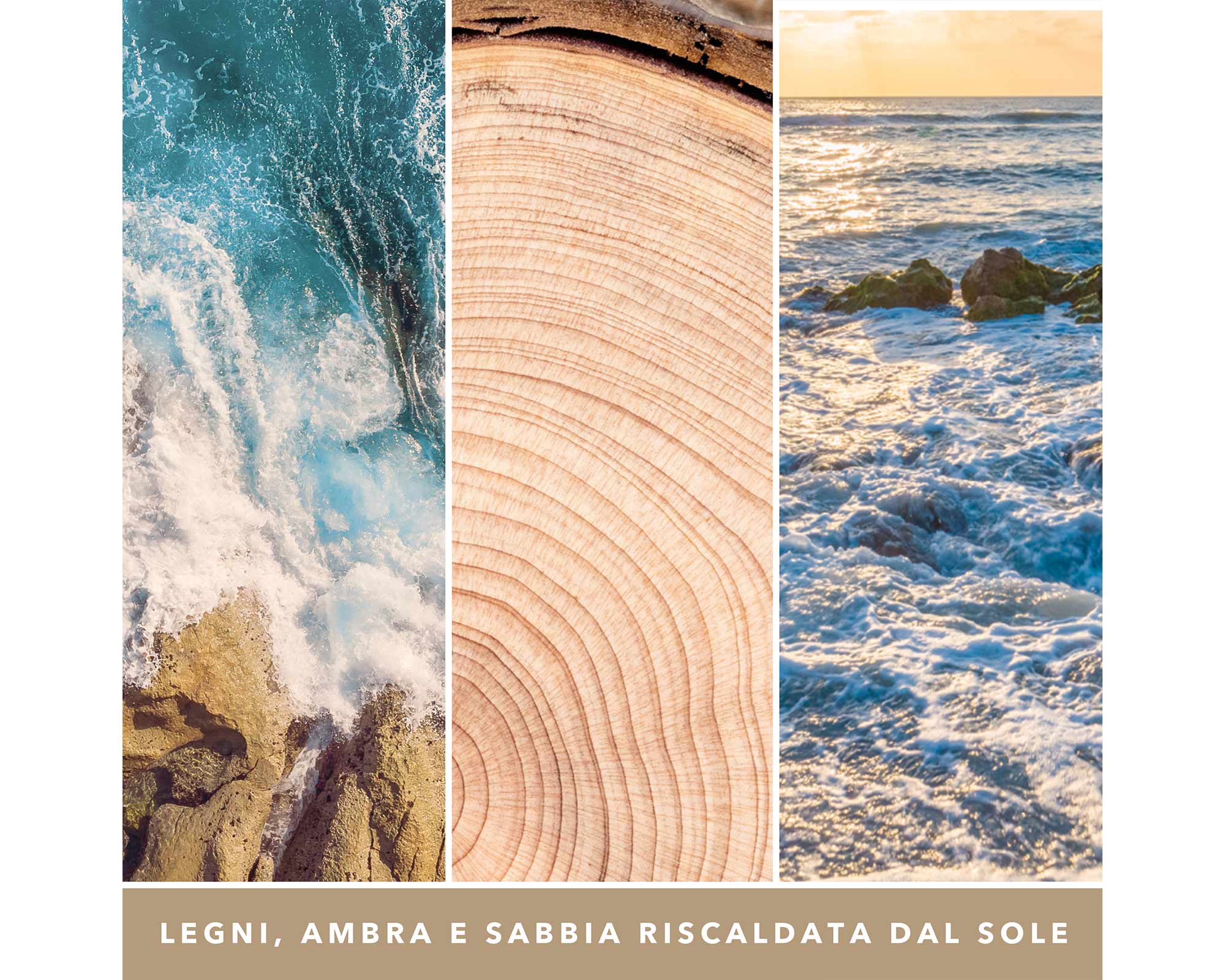 Giara Candela Grande Signature Amber & Sandalwood - Yankee Candle - immagine 6