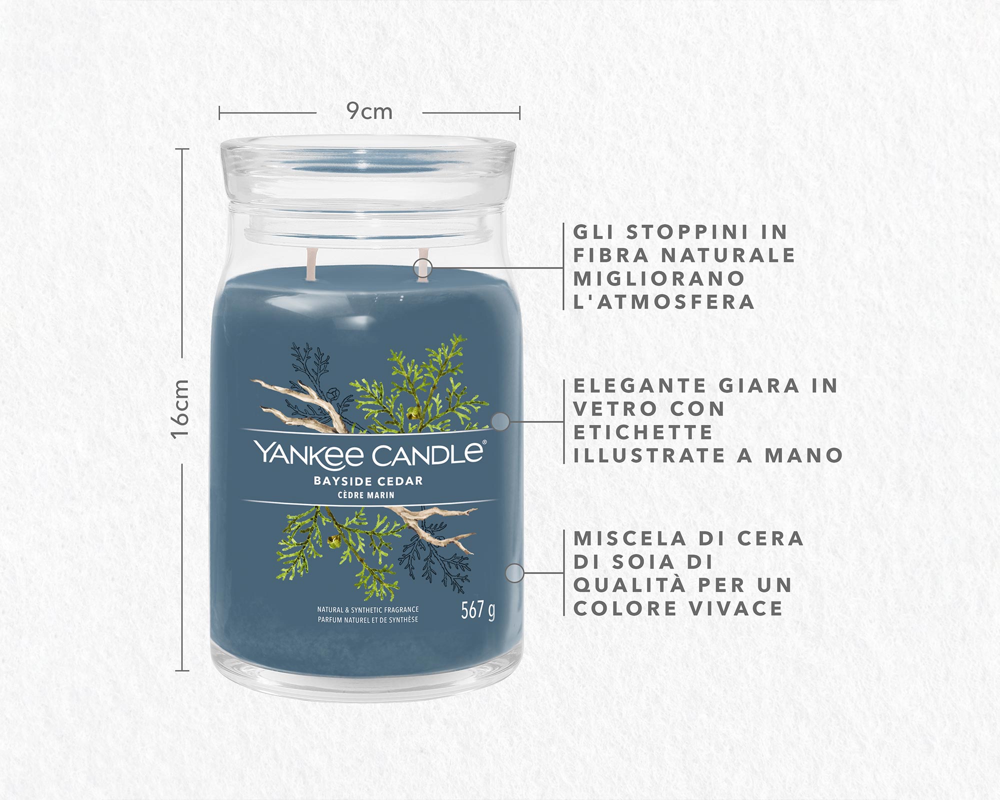 Giara Candela Grande Signature Bayside Cedar - Yankee Candle - immagine 4