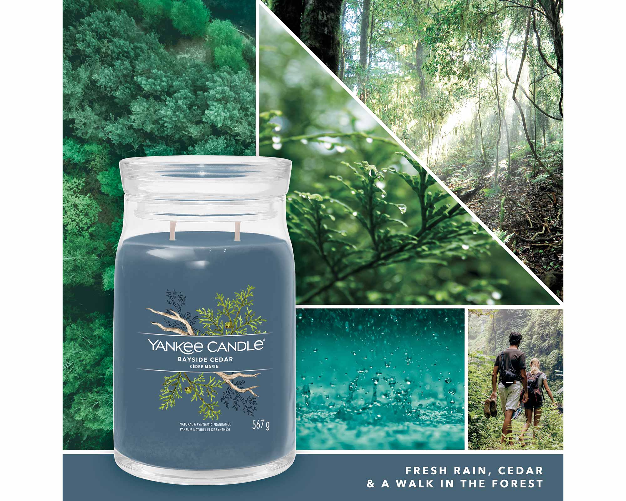 Giara Candela Grande Signature Bayside Cedar - Yankee Candle - immagine 5