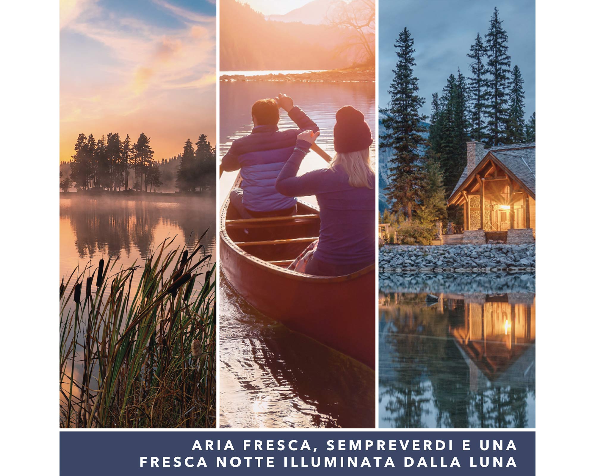 Giara Candela Grande Signature Lakefront Lodge - Yankee Candle - immagine 6