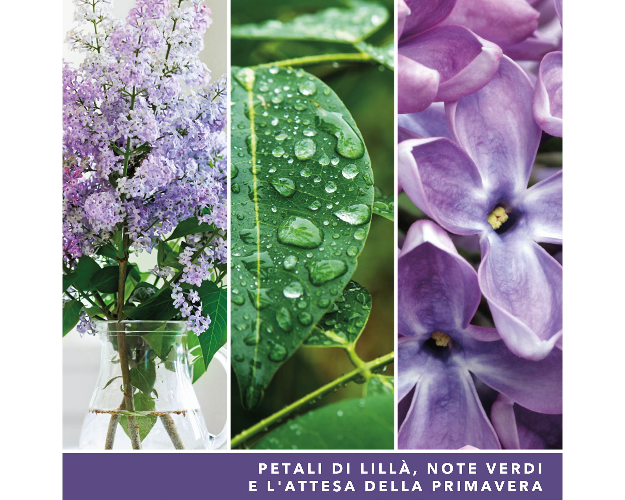 Giara Candela Grande Signature Lilac Blossoms - Yankee Candle - immagine 6