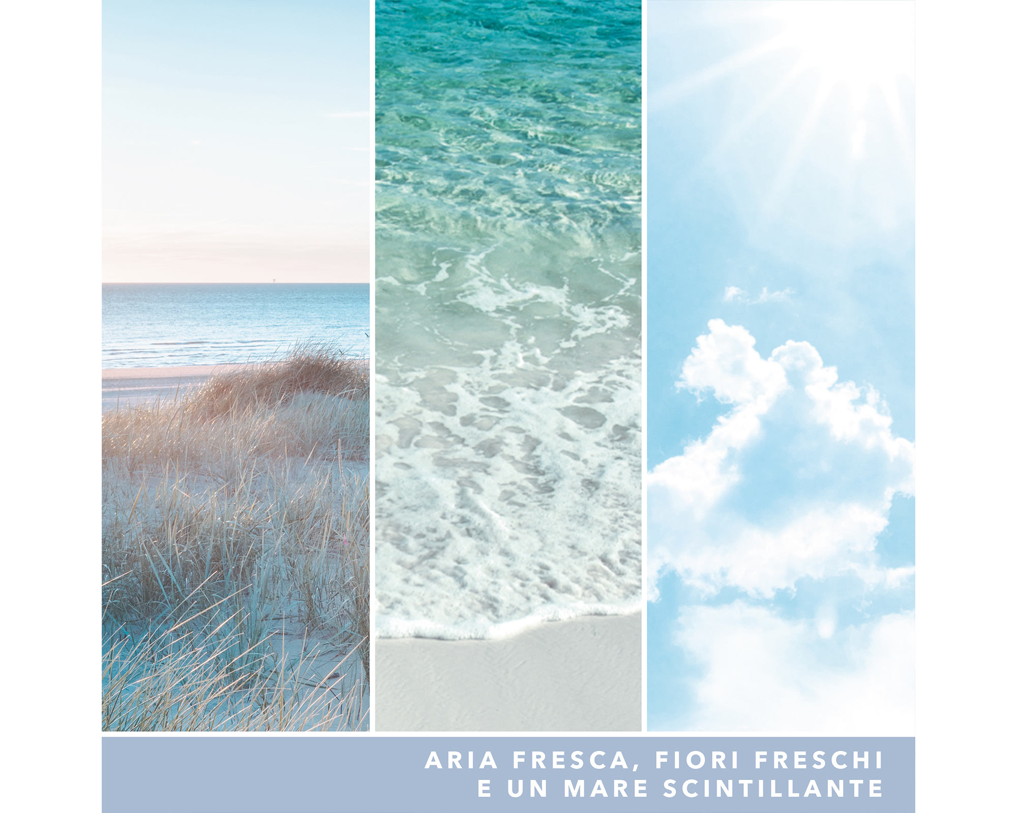 Giara Candela Grande Signature Ocean Air - Yankee Candle - immagine 6