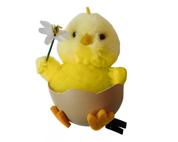 Set 3 Pz Decorazione Pulcino nell’uovo con clip