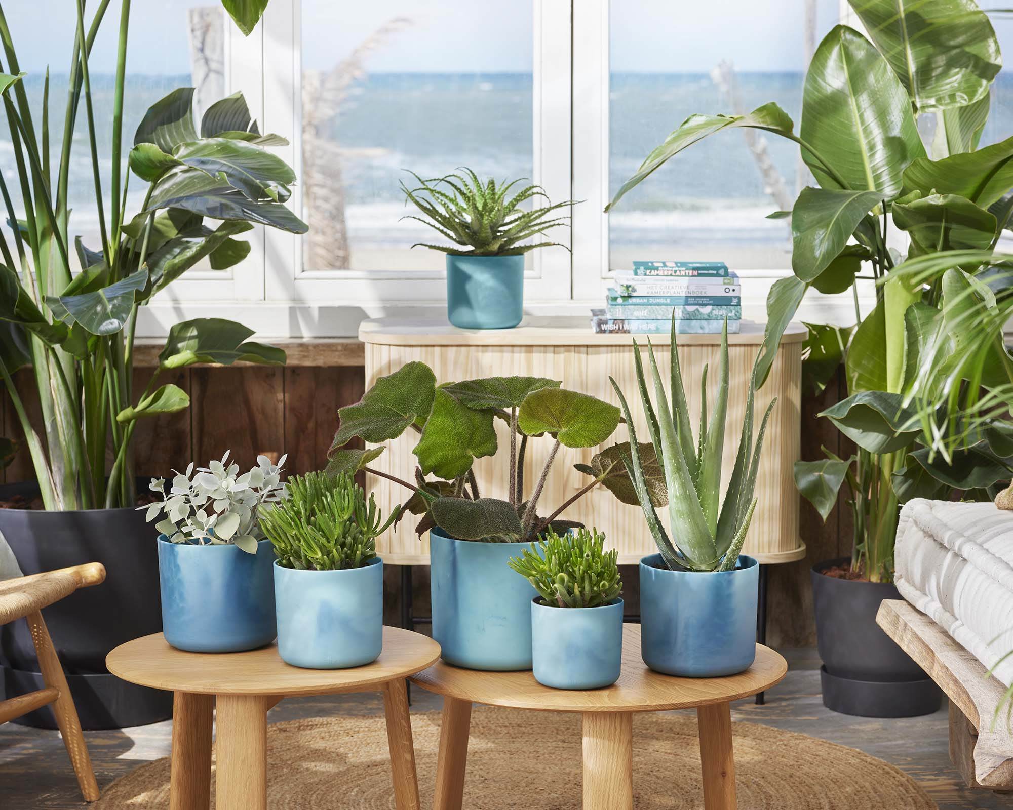 Cachepot Tondo Ocean Blu D18cm - Elho - immagine 5