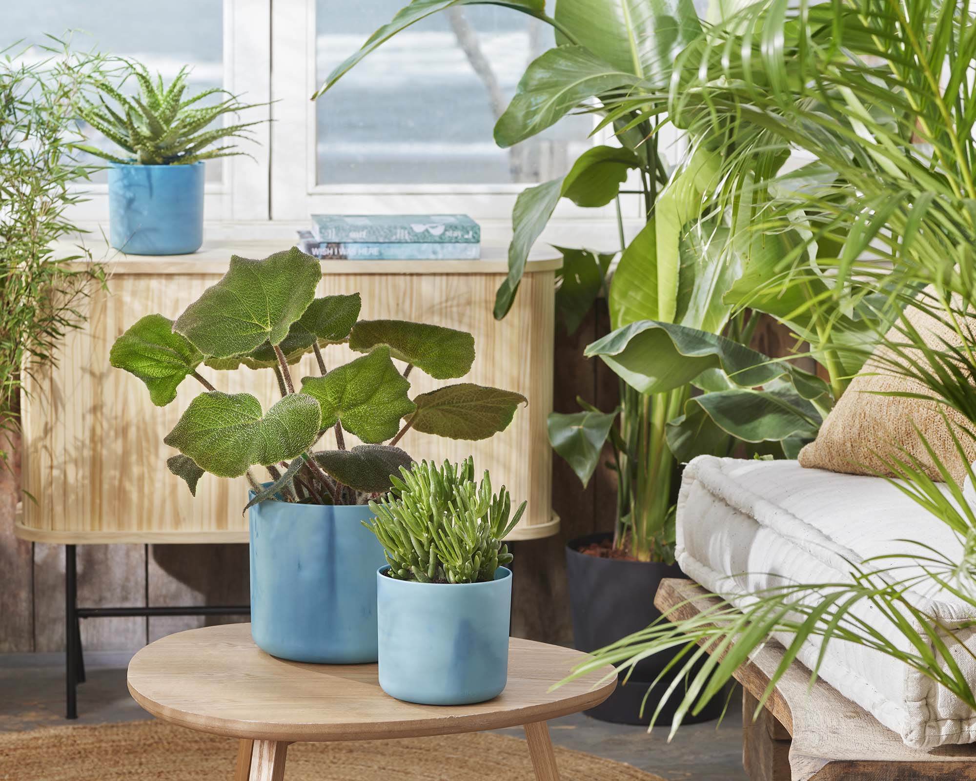 Cachepot Tondo Ocean Blu D18cm - Elho - immagine 6