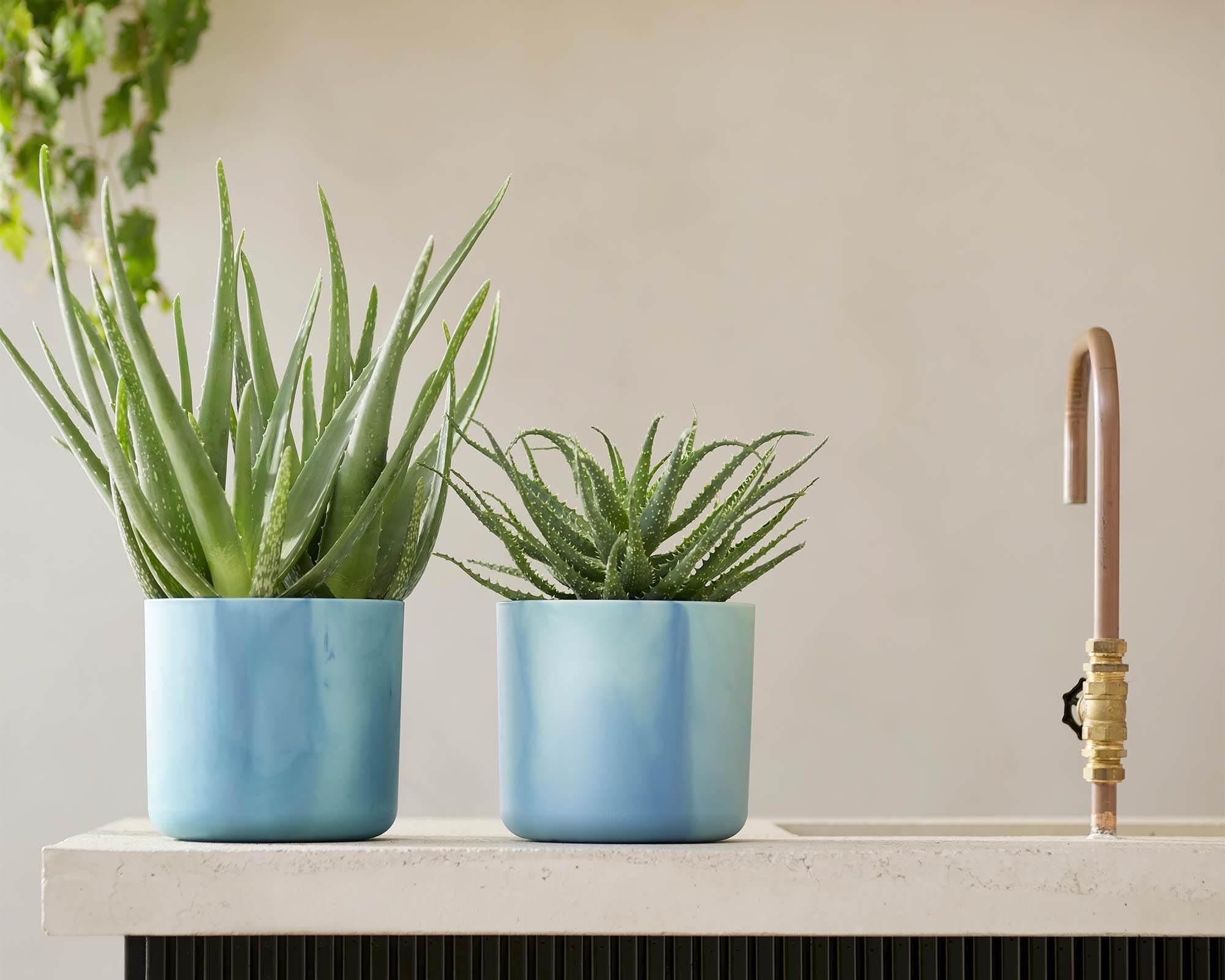 Cachepot Tondo Ocean Blu D18cm - Elho - immagine 7