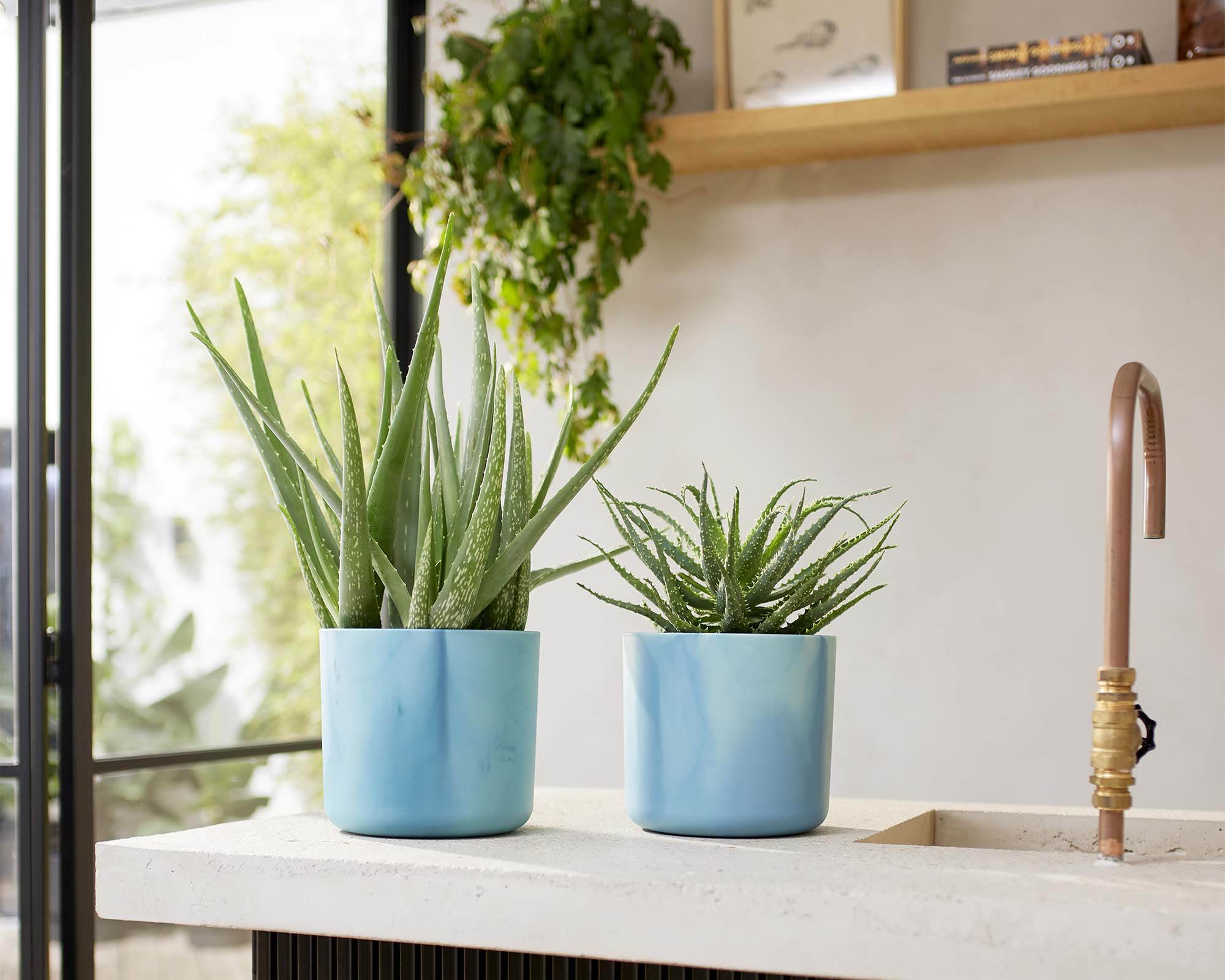 Cachepot Tondo Ocean Blu D18cm - Elho - immagine 8