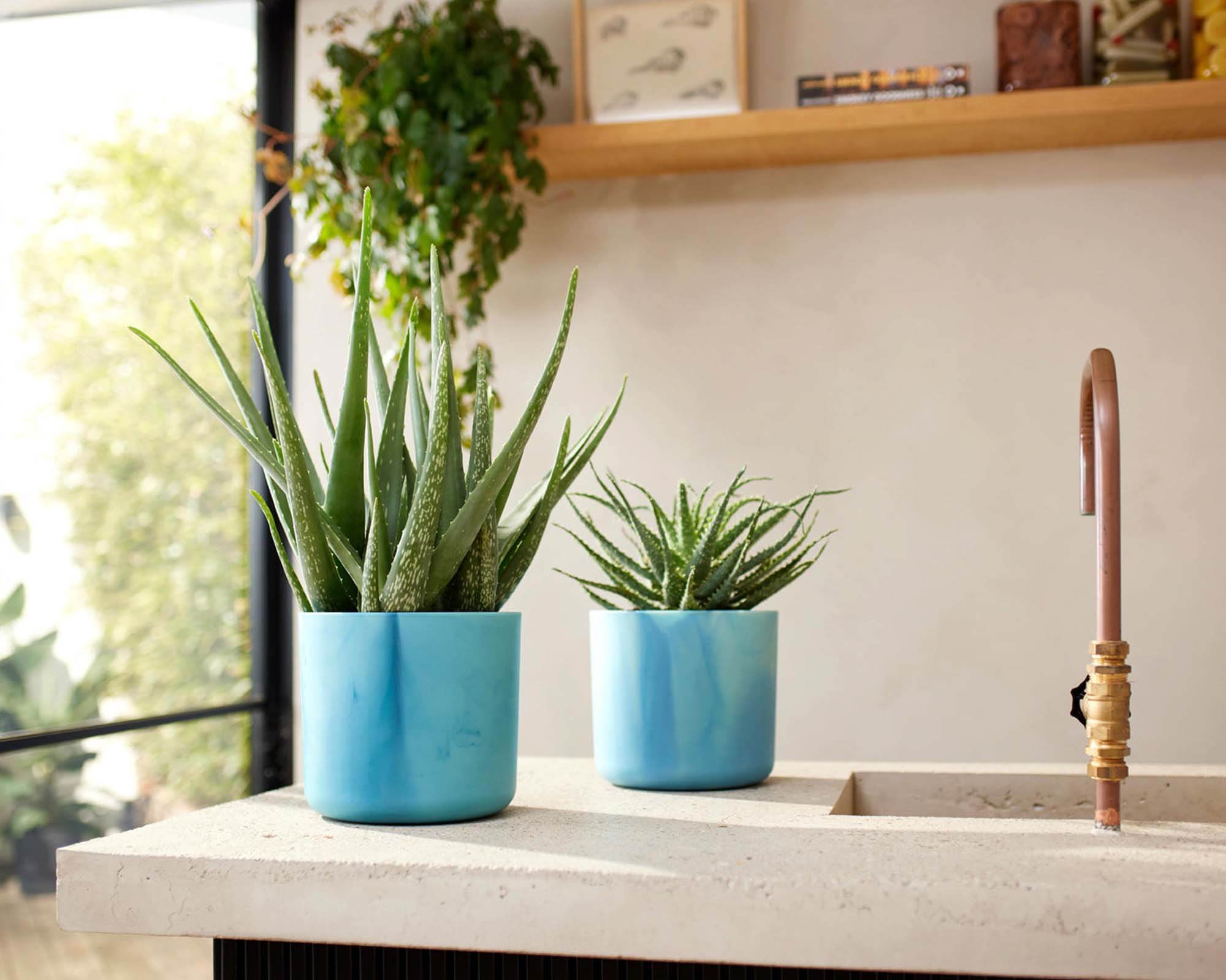 Cachepot Tondo Ocean Blu D22cm - Elho - immagine 4