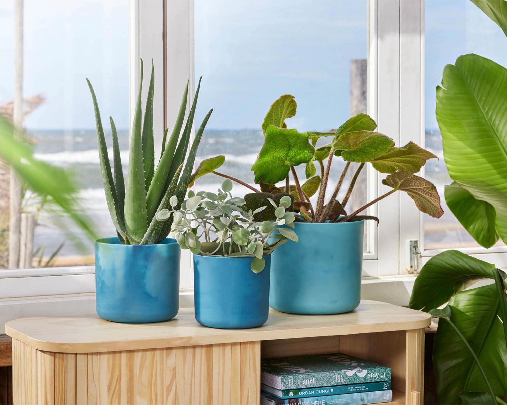 Cachepot Tondo Ocean Blu D22cm - Elho - immagine 5