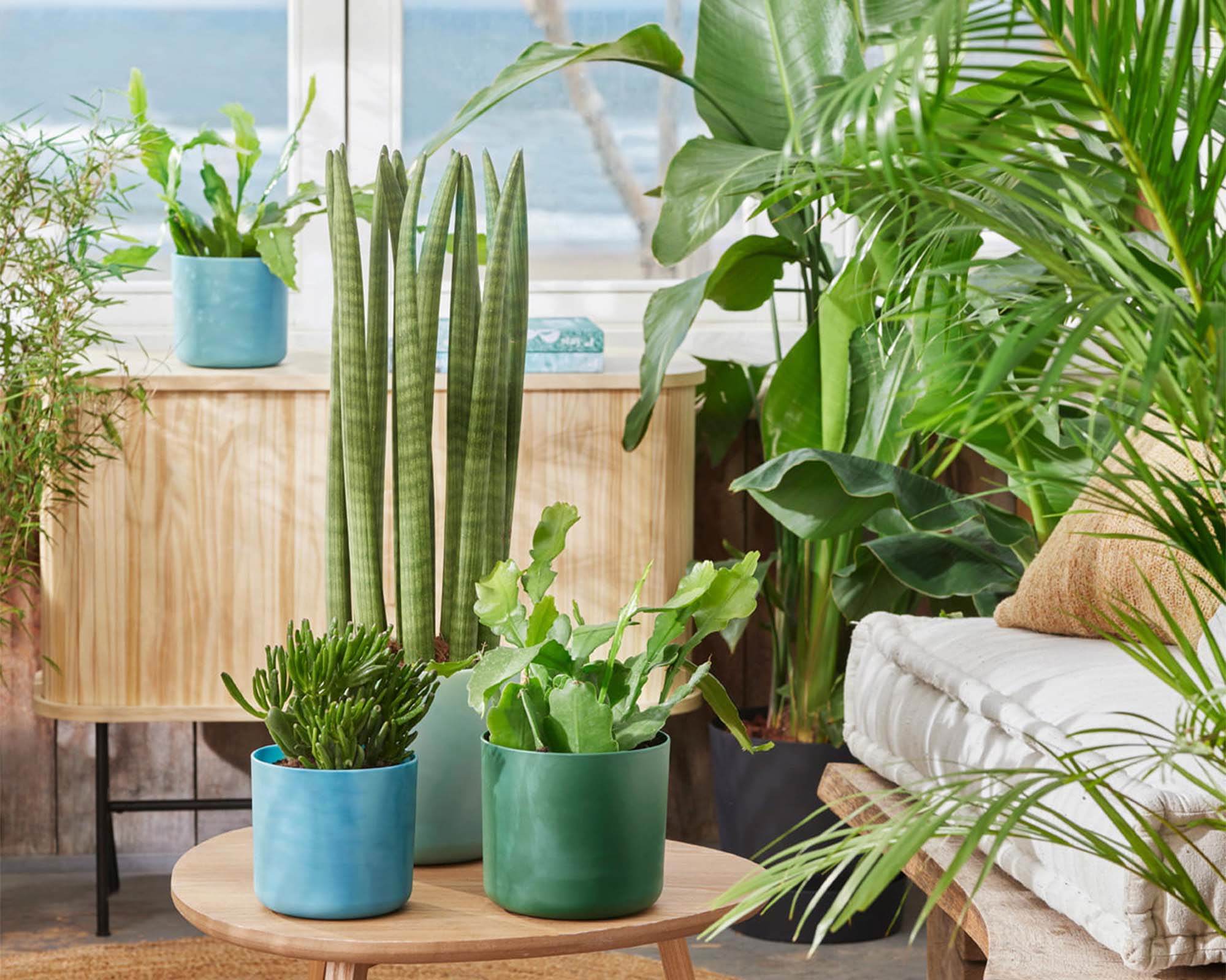 Cachepot Tondo Ocean Verde D22cm - Elho - immagine 6