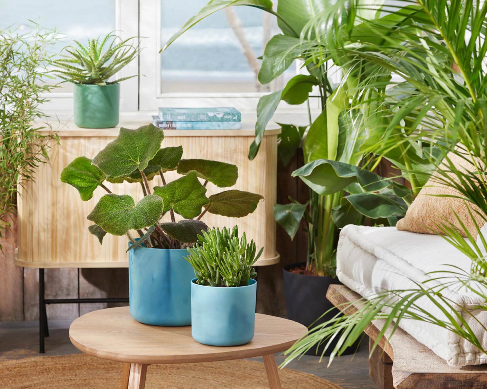 Cachepot Tondo Ocean Blu D22cm - Elho - immagine 7