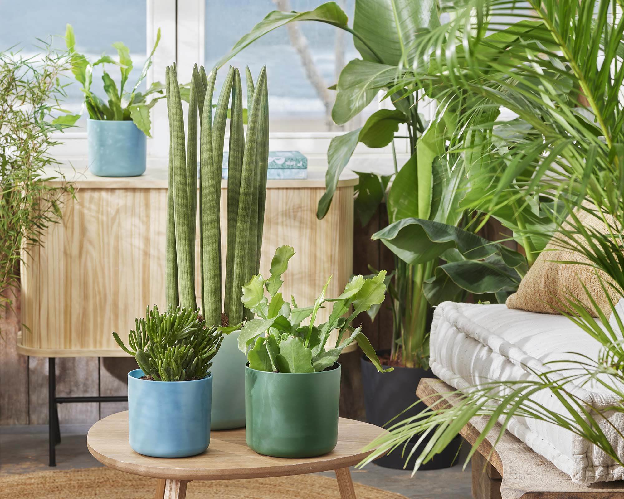 Cachepot Tondo Ocean Verde D14cm - Elho - immagine 7