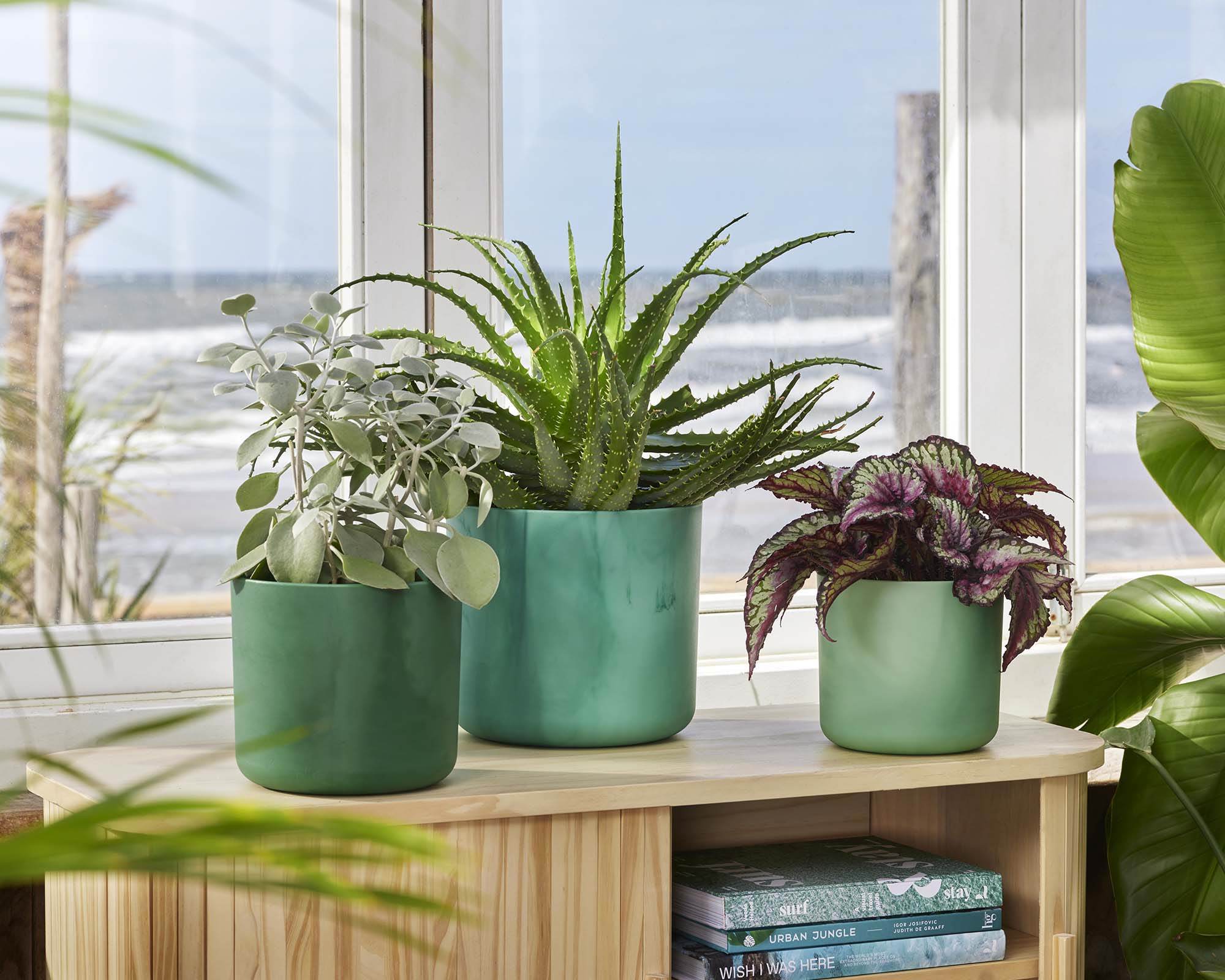 Cachepot Tondo Ocean Verde D14cm - Elho - immagine 9