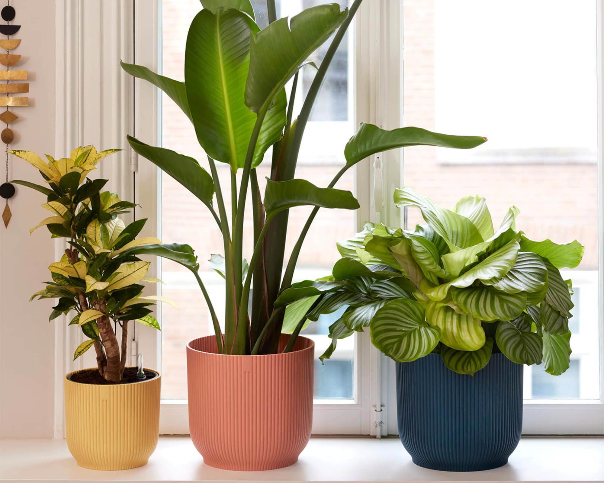 Cachepot Tondo con Ruote Vibes Bianco D16cm in Plastica Riciclato - Elho - immagine 7