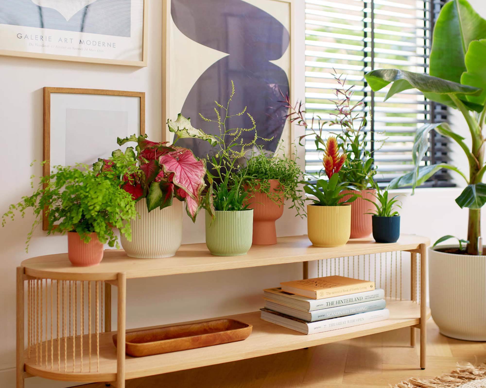 Cachepot Tondo con Ruote Vibes Bianco D16cm in Plastica Riciclato - Elho - immagine 9