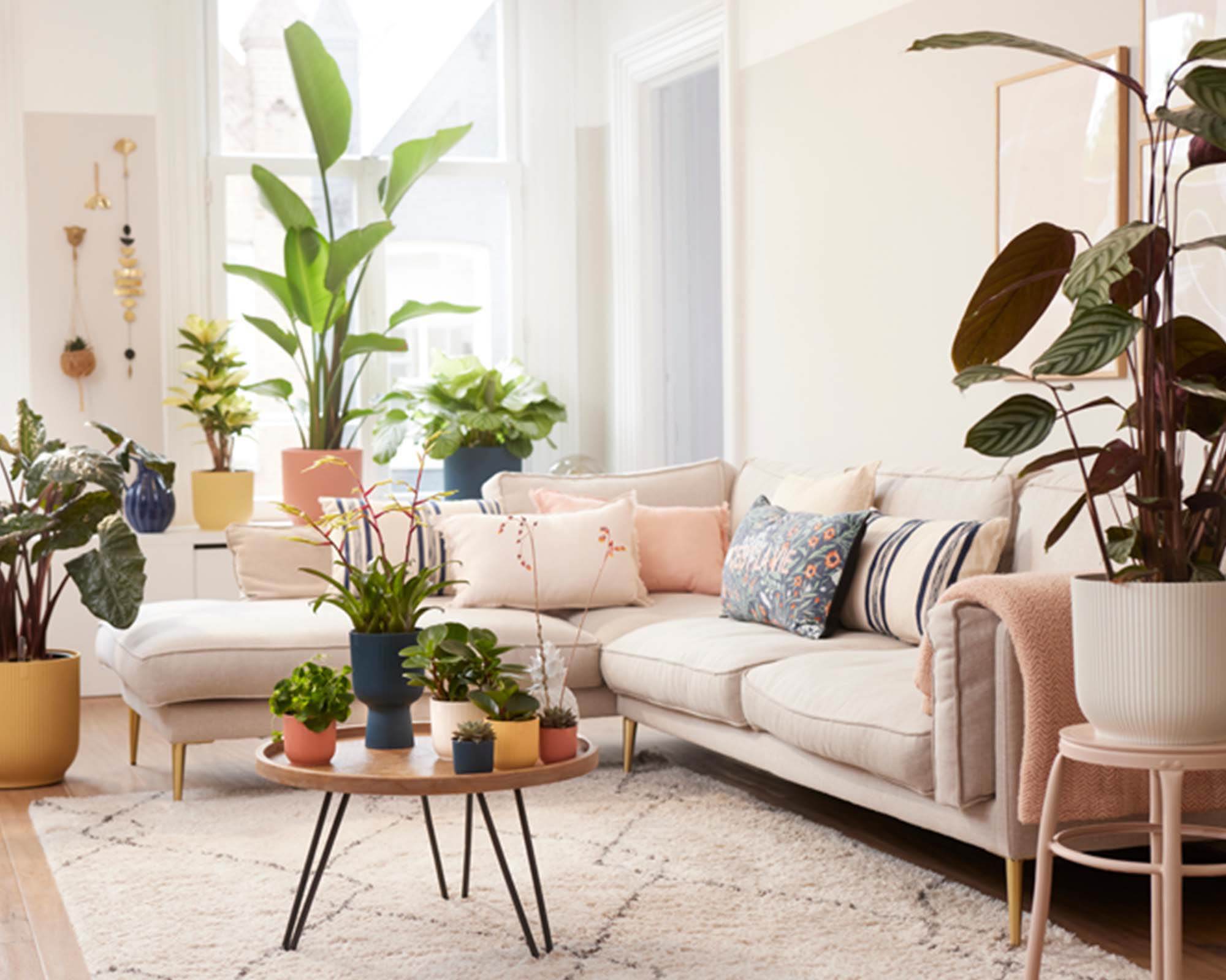 Cachepot Tondo con Ruote Vibes Bianco D16cm in Plastica Riciclato - Elho - immagine 10