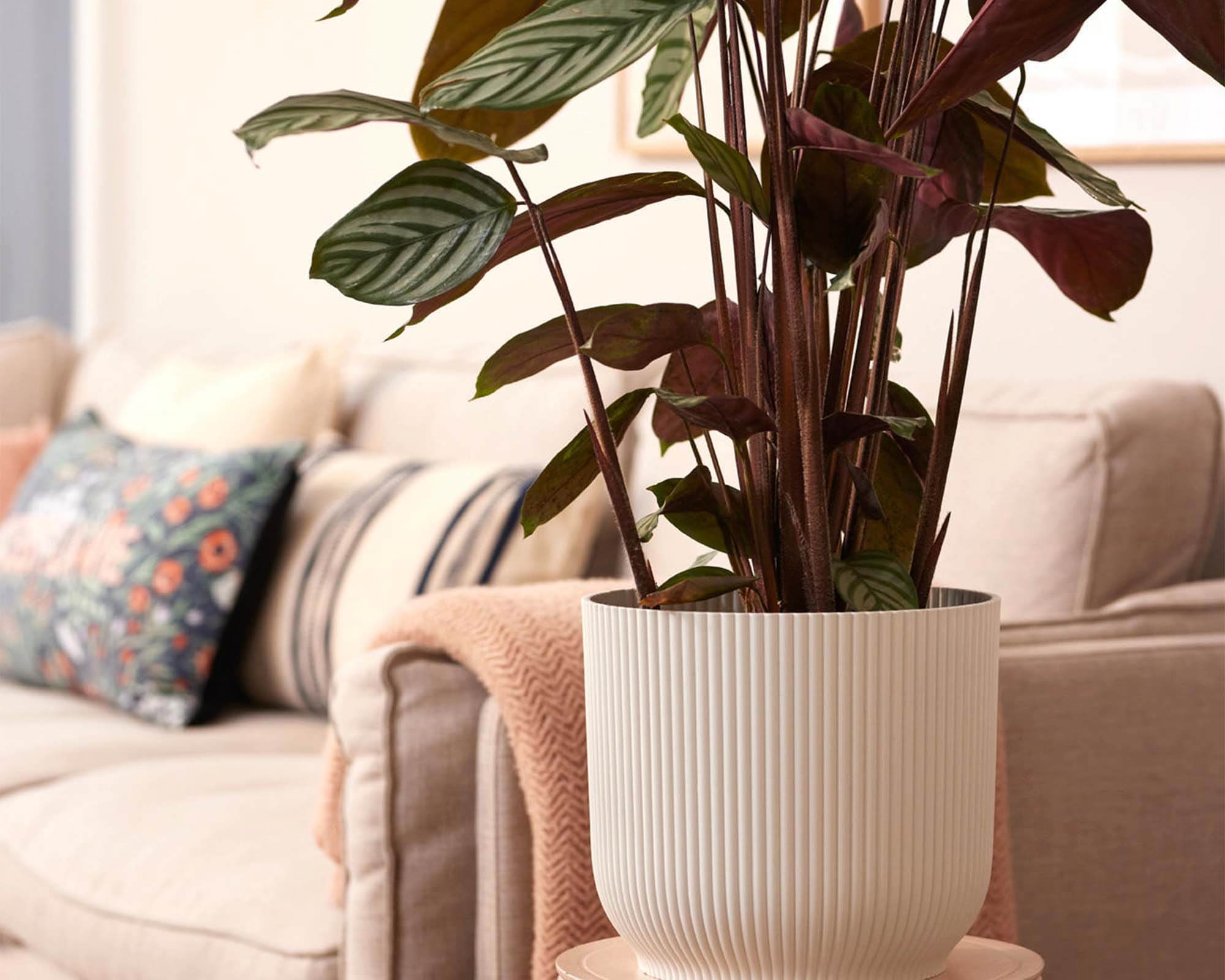 Cachepot Tondo con Ruote Vibes Bianco D22cm - Elho - immagine 5