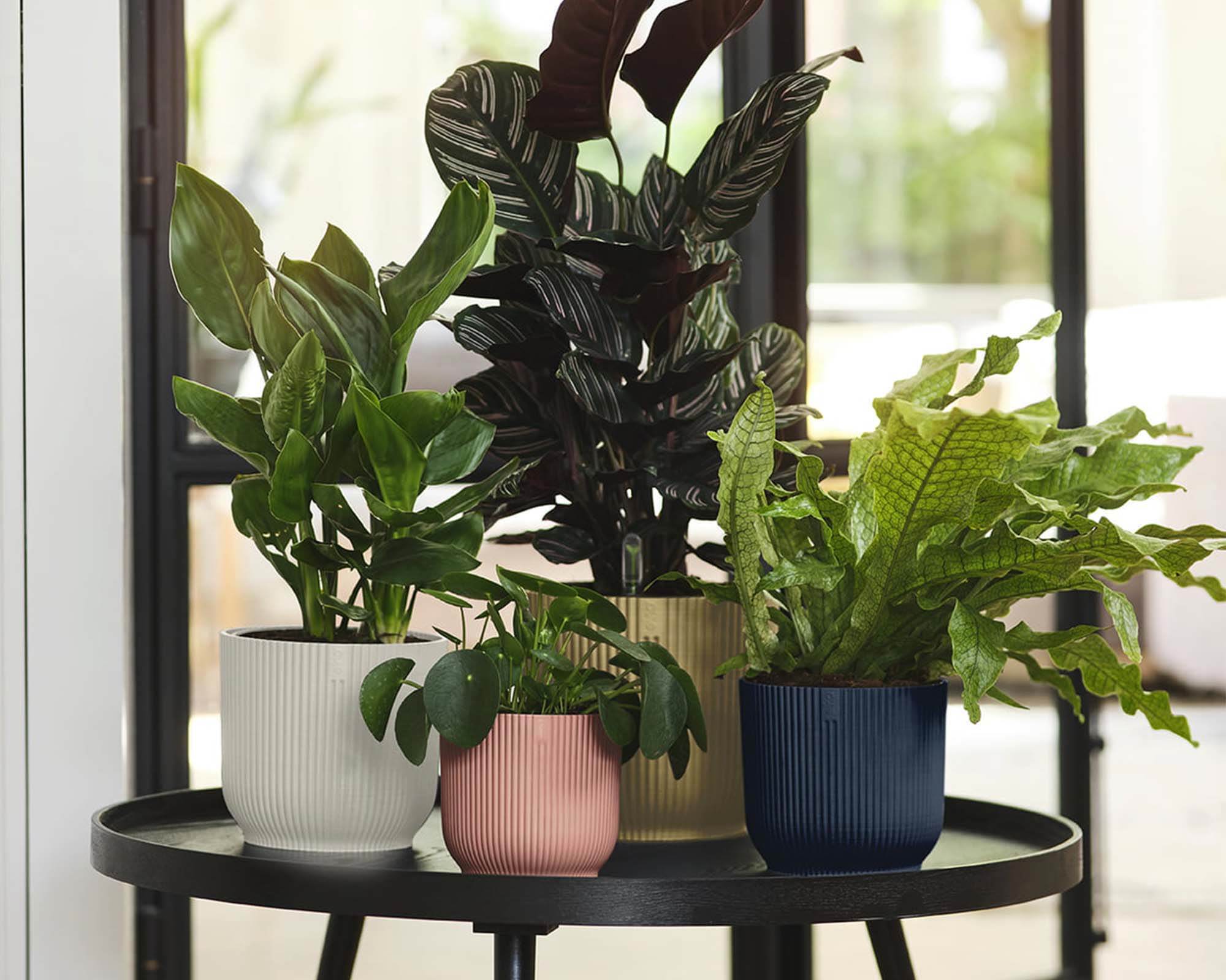 Cachepot Tondo con Ruote Vibes Bianco D22cm - Elho - immagine 6