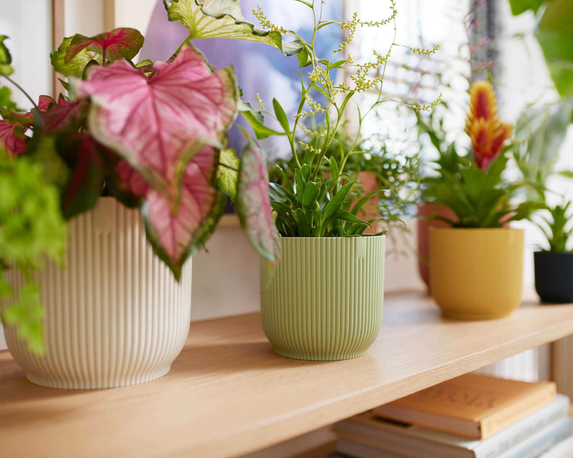 Cachepot Tondo con Ruote Vibes Bianco D22cm - Elho - immagine 8