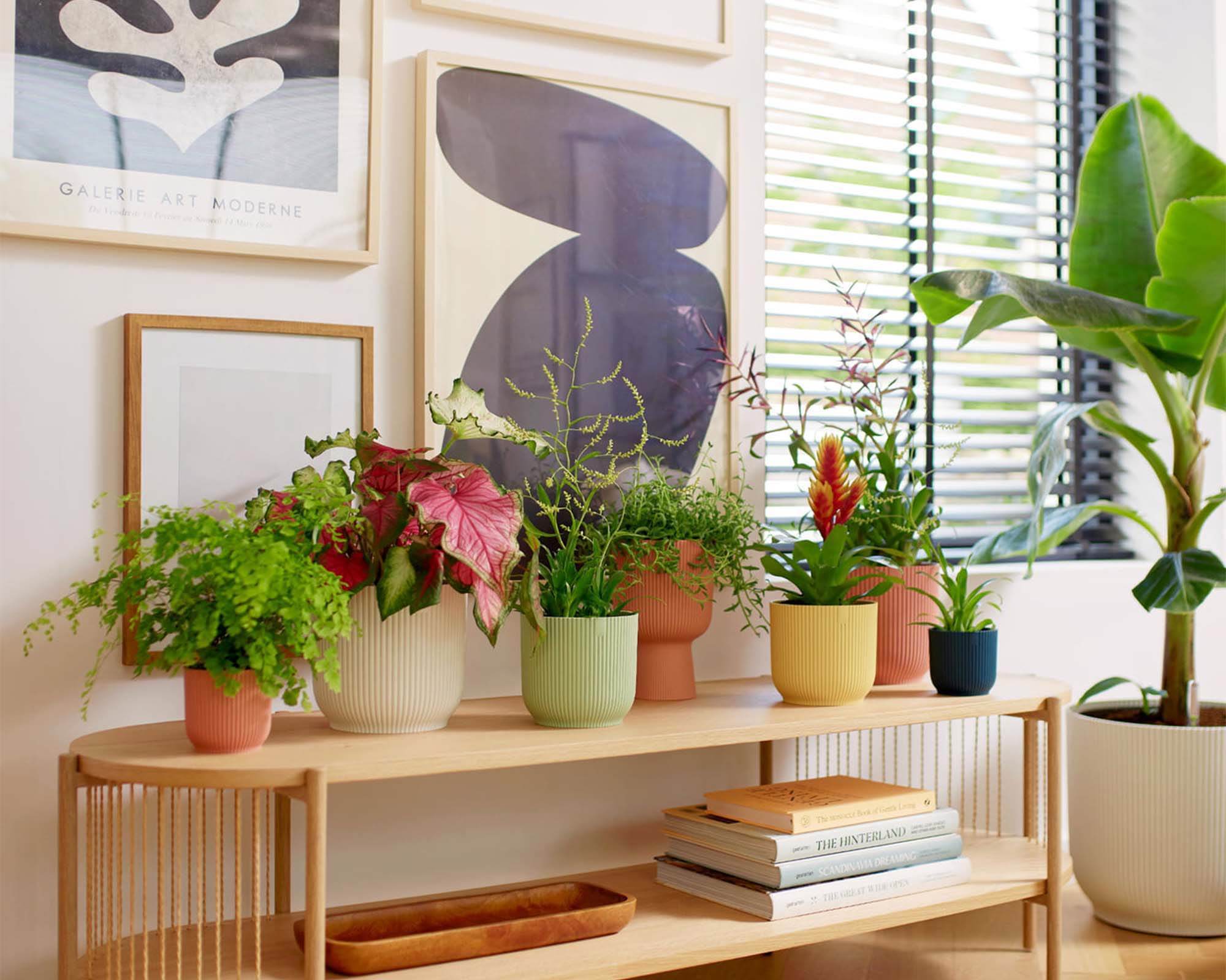 Cachepot Tondo Vibes Blu D16cm in Plastica Riciclato - Elho - immagine 6