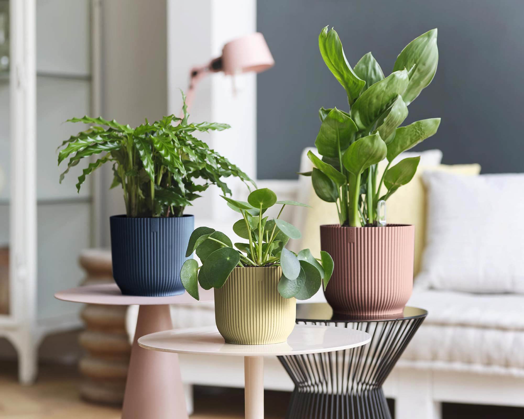 Cachepot Tondo Vibes Blu D25cm - Elho - immagine 7