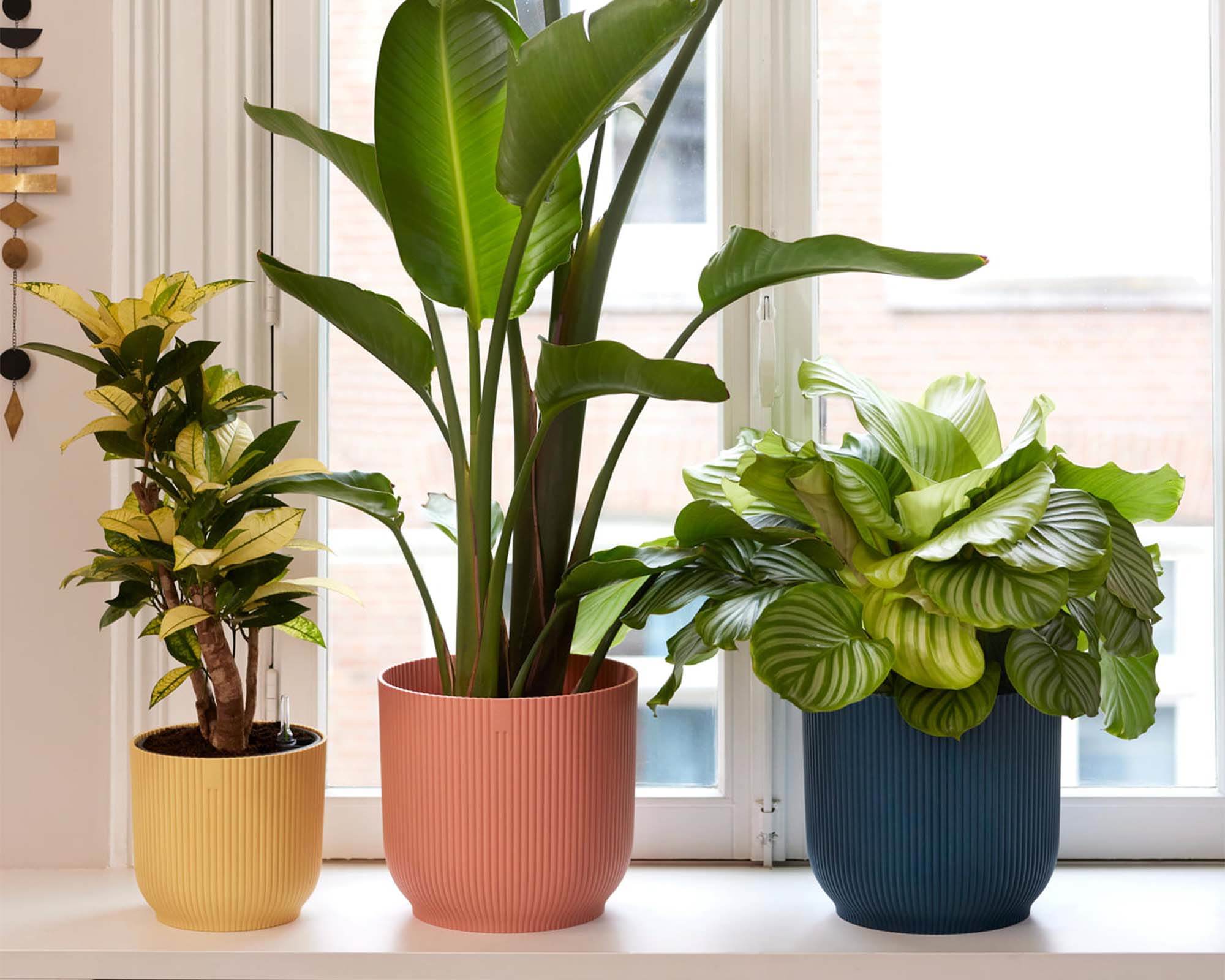 Cachepot Tondo Vibes Blu D25cm - Elho - immagine 8