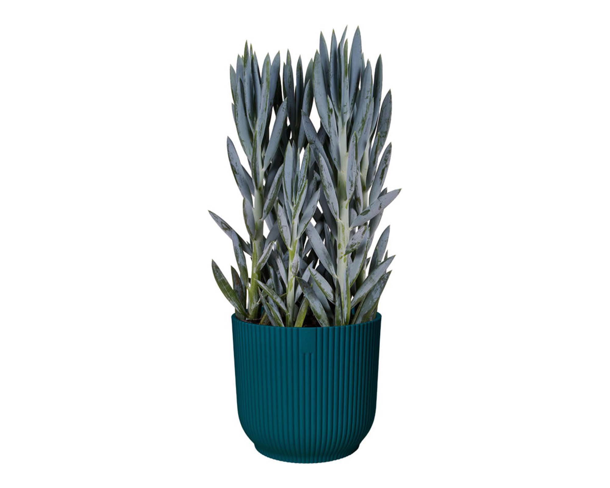 Cachepot Tondo Vibes Blu D25cm - Elho - immagine 5