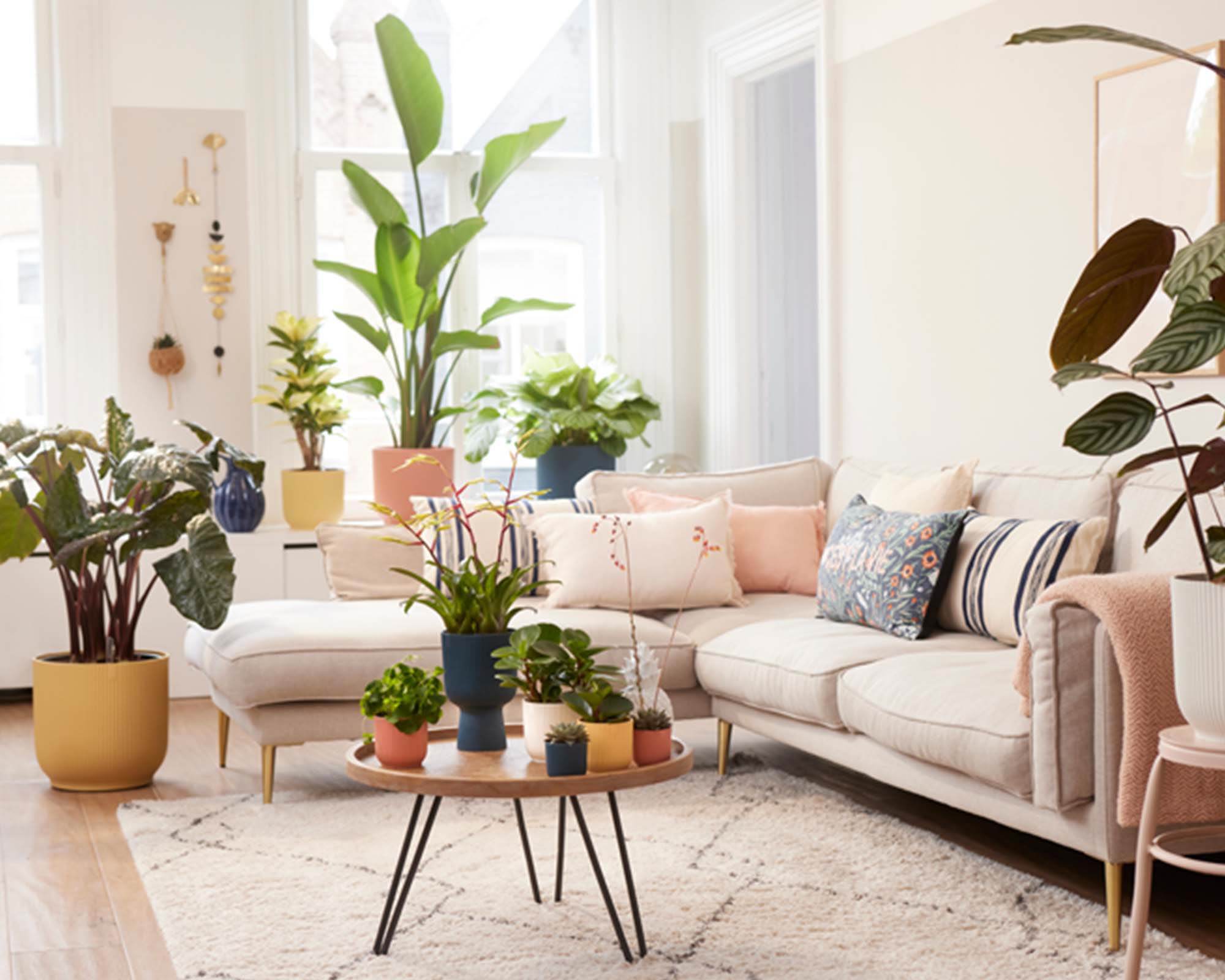 Cachepot Tondo Vibes Giallo D16cm - Elho - immagine 12