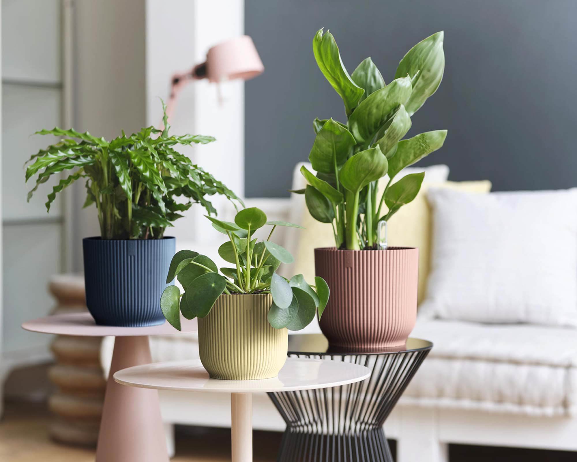 Cachepot Tondo Vibes Rosa D30cm - Elho - immagine 7