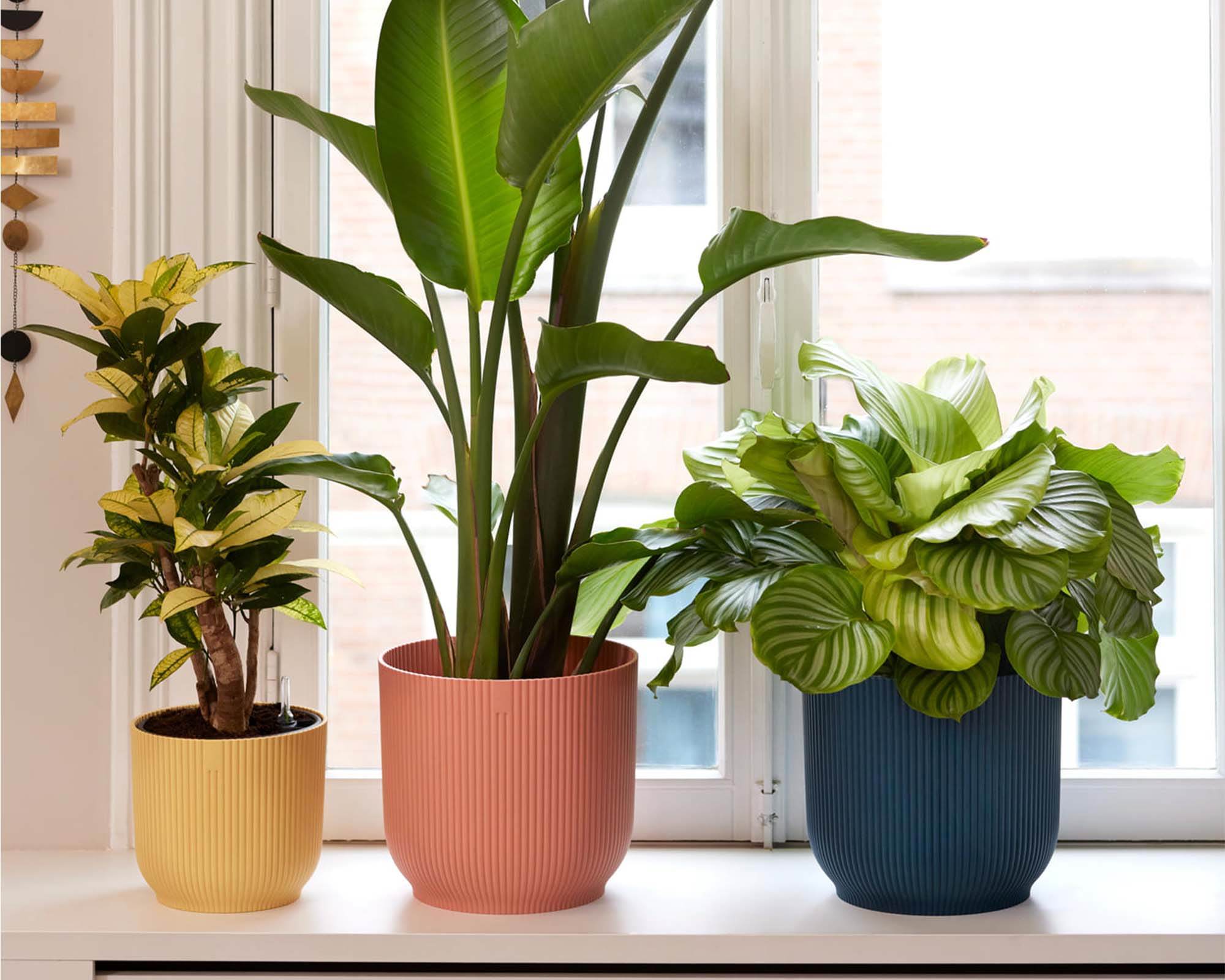 Cachepot Tondo Vibes Rosa D30cm - Elho - immagine 8