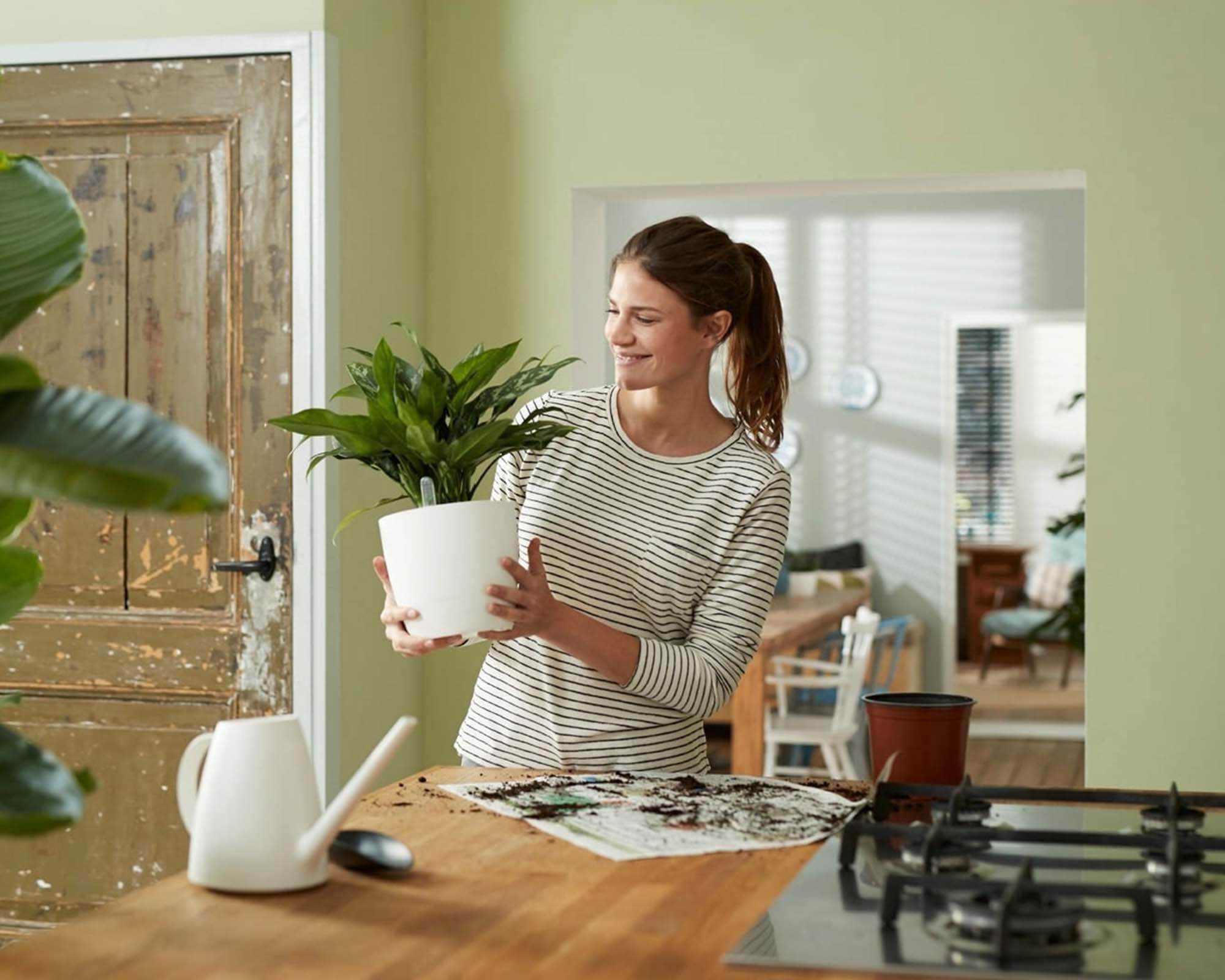 Cachepot Irrigatore Automatico Nero D36cm - Elho - immagine 3