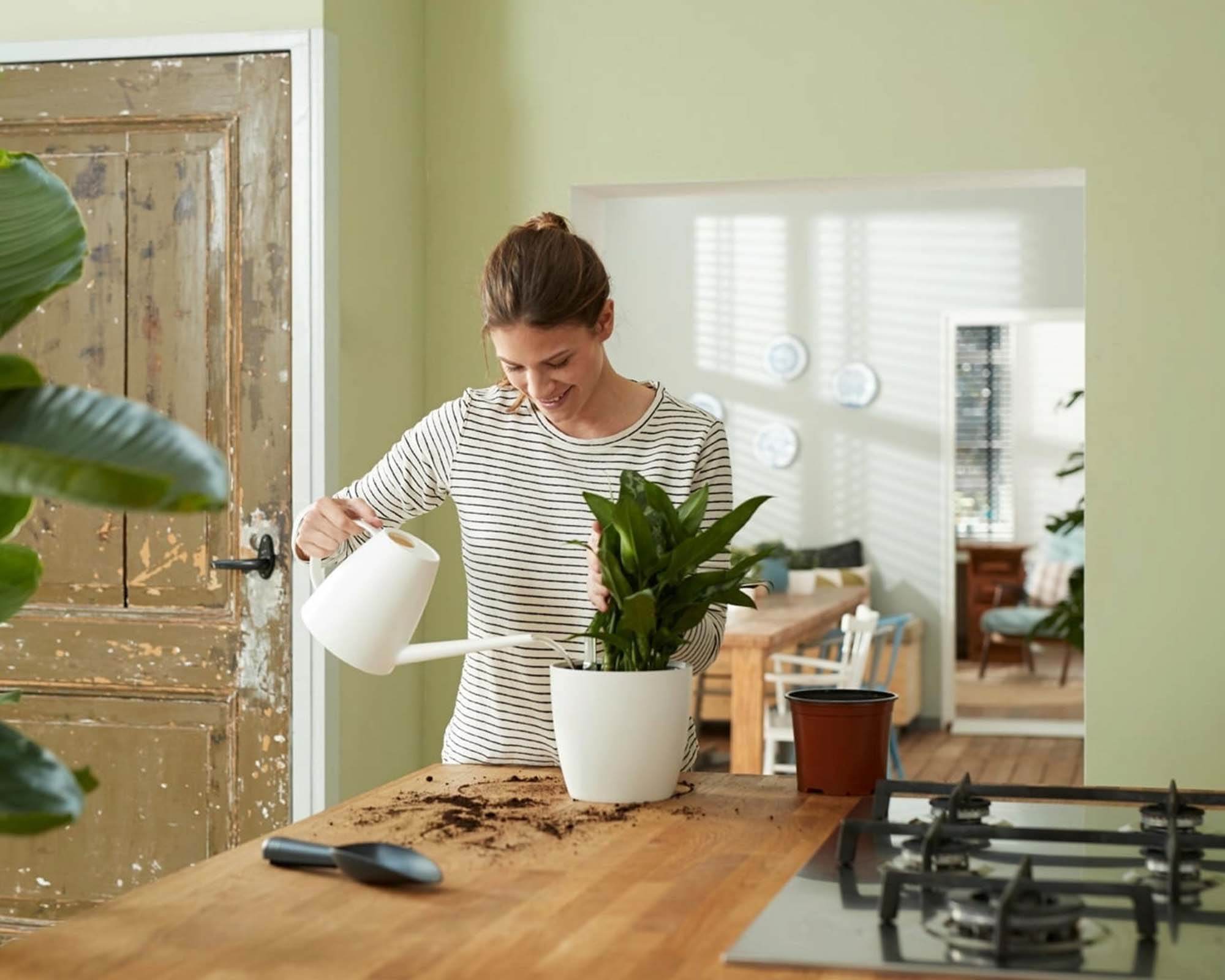 Cachepot Irrigatore Automatico Nero D36cm - Elho - immagine 4