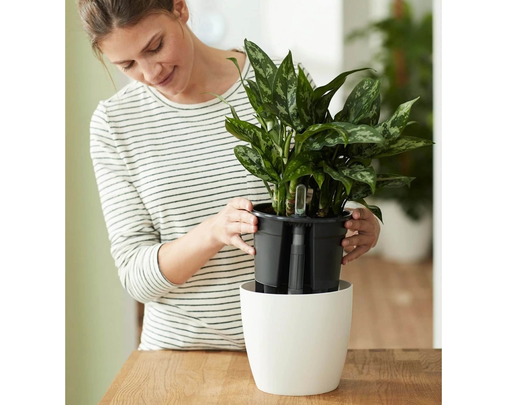 Cachepot Irrigatore Automatico Nero D36cm - Elho - immagine 5