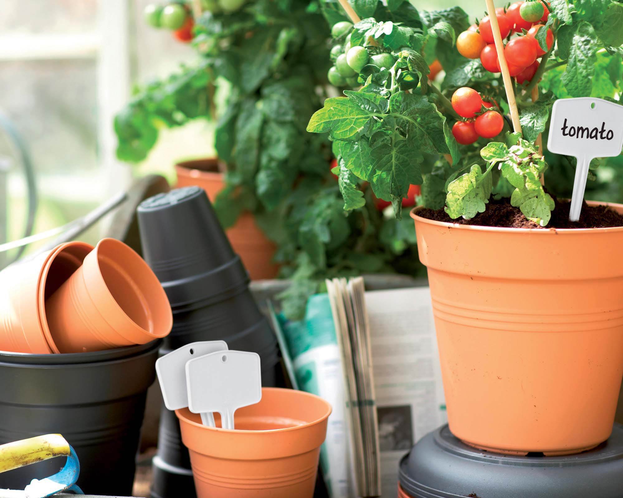 Vaso Green Basics Nero D11cm in Plastica Riciclata - Elho - immagine 3