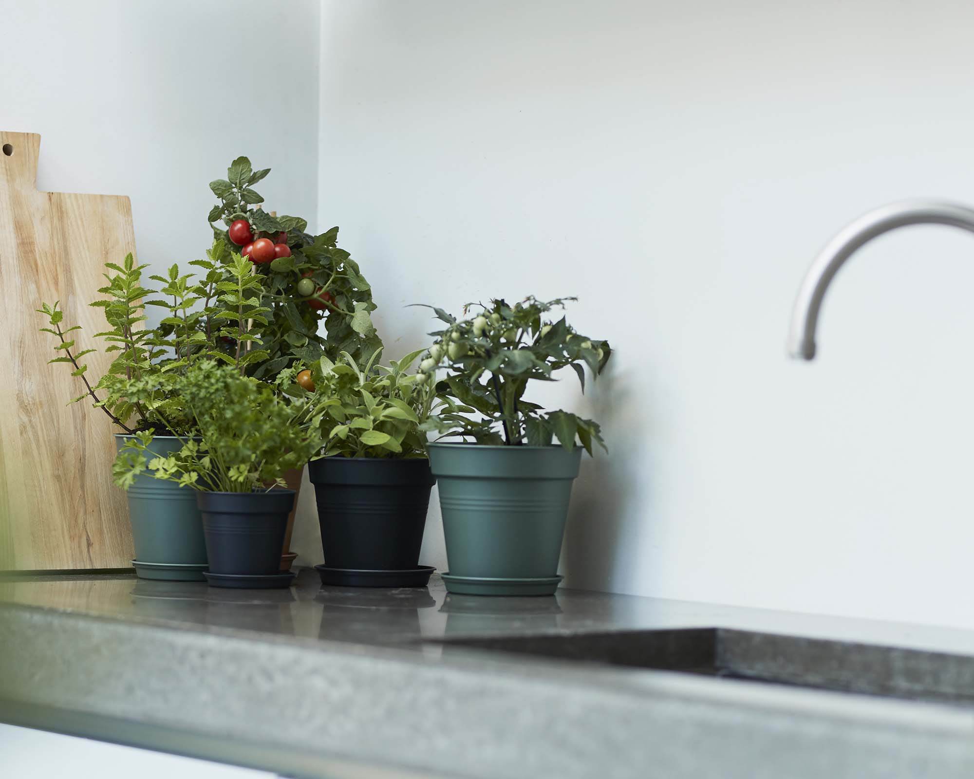 Vaso Green Basics Nero D11cm in Plastica Riciclata - Elho - immagine 4