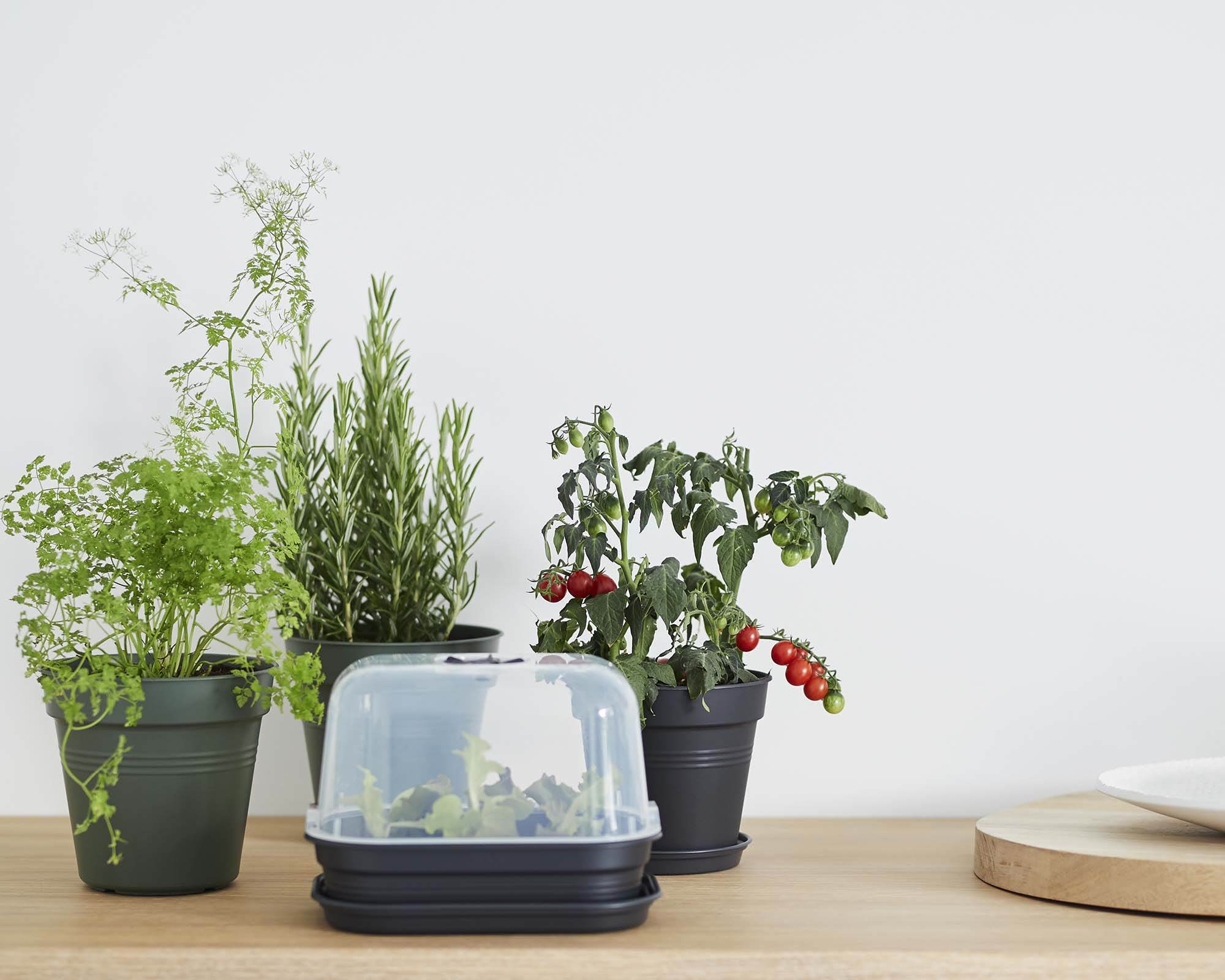 Vaso Green Basics Verde D17cm in Plastica Riciclata - Elho - immagine 5