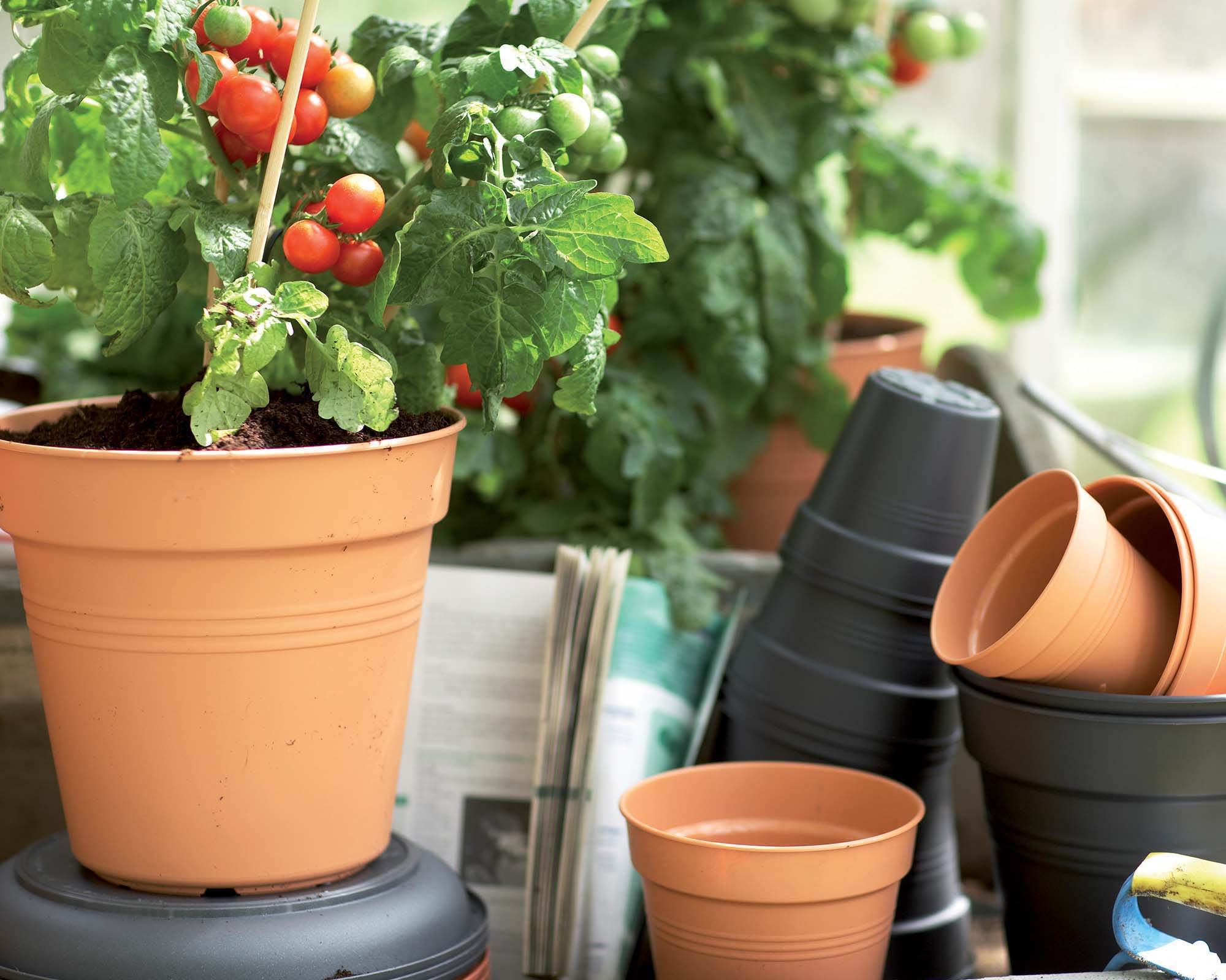 Vaso Green Basics Verde D19cm Plastica Riciclata - Elho - immagine 7