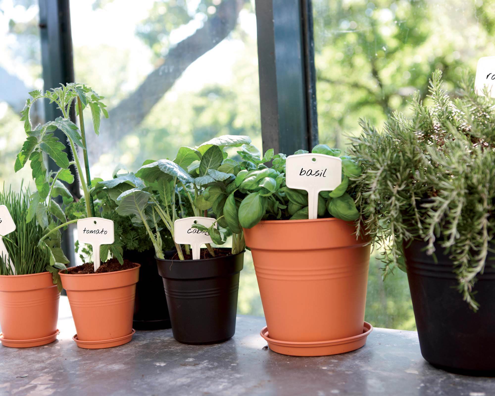 Vaso Green Basics Verde D27cm in Plastica Riciclata - Elho - immagine 6