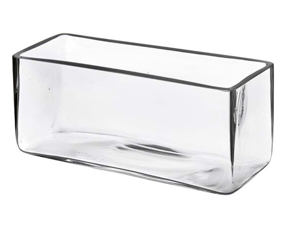 Vaso Rettangolare in Vetro Elegante e Versatile 25x10x10h