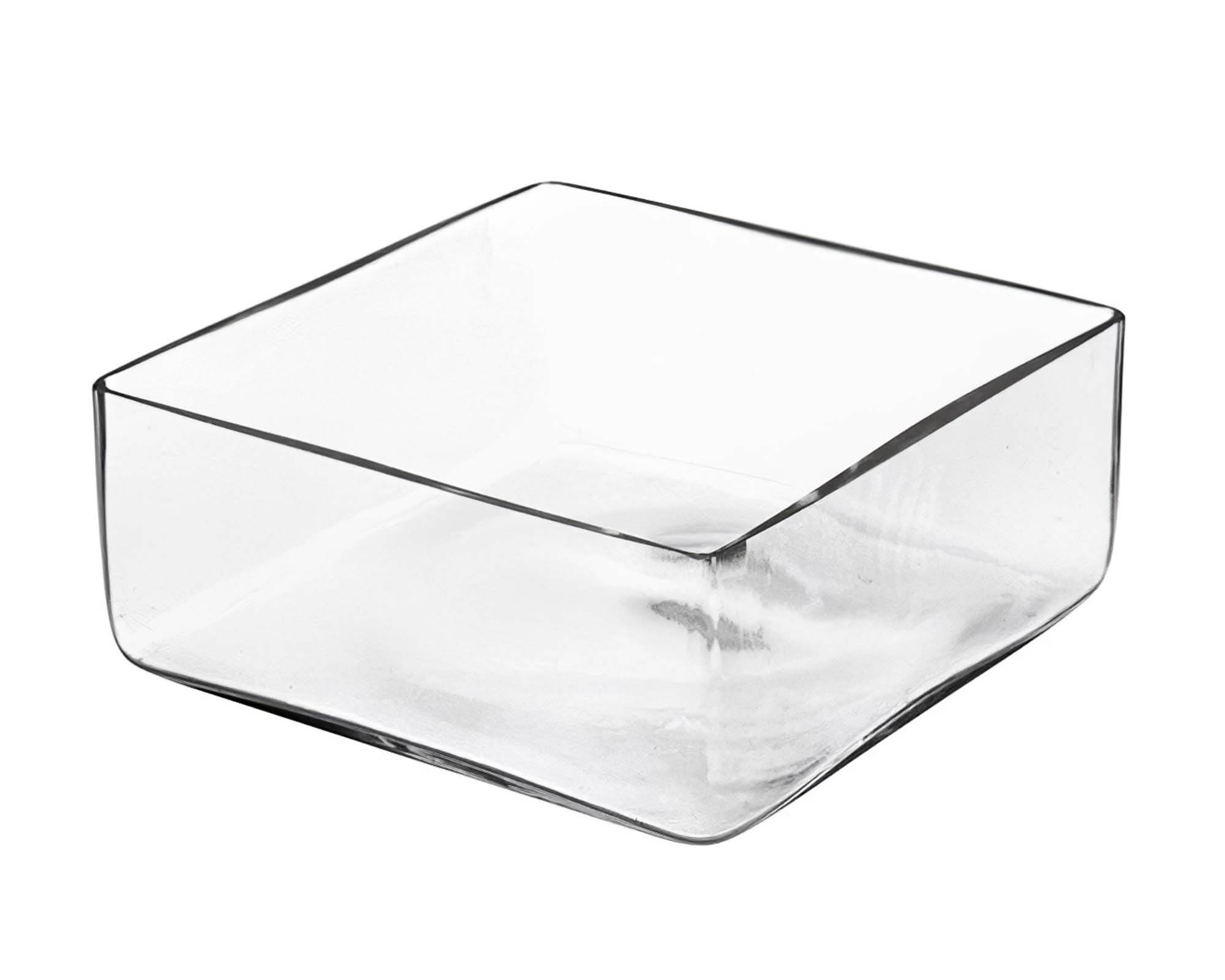 Ciotola Quadrata Versatile, Pratica e Resistente in Vetro 25x25x10h