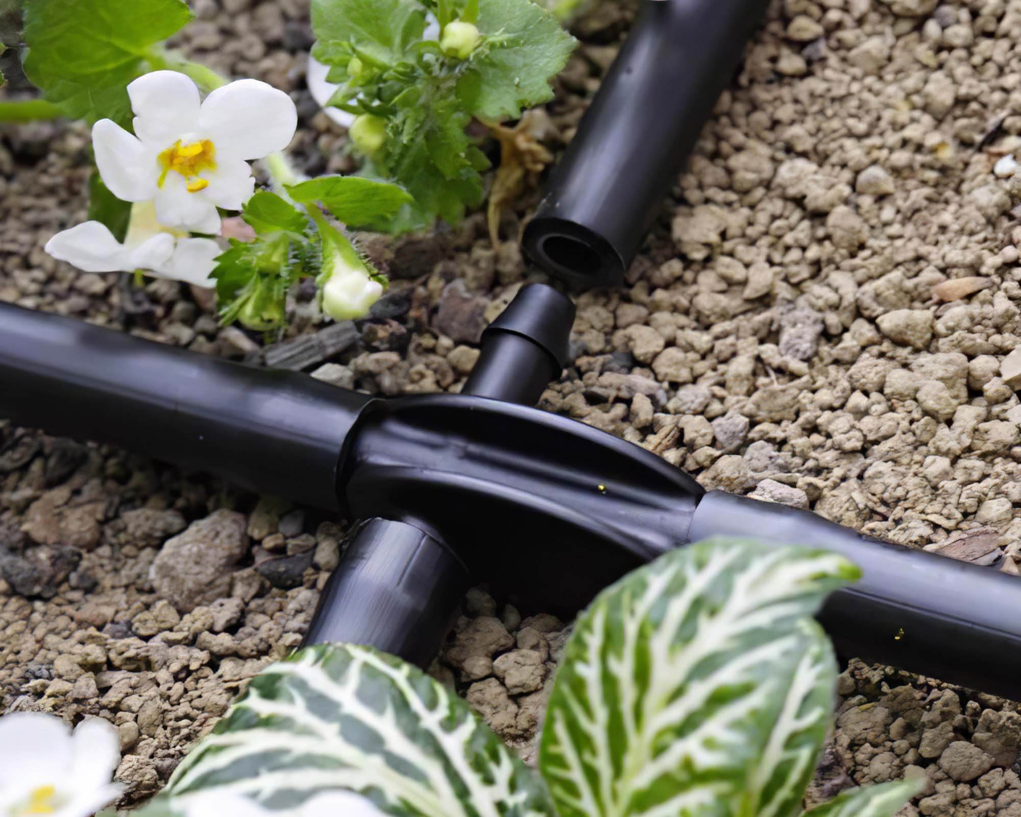 Raccordo a Quattro Vie per Micro Irrigazione Interrata e Goccia - Claber - immagine 3