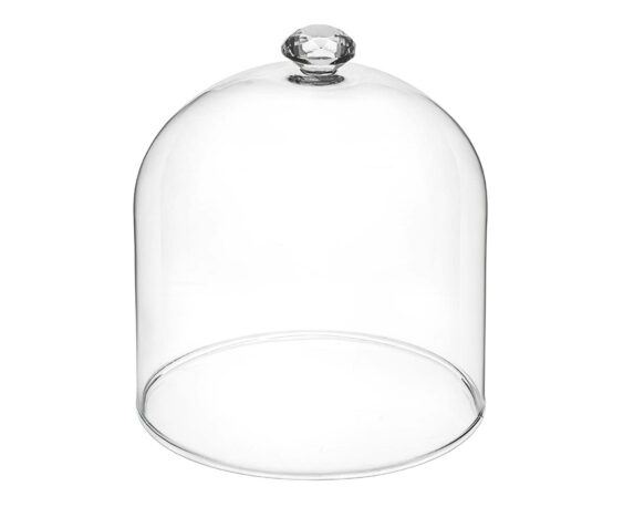 Cupola Decorativa Trasparente Incantevole e Elegante in Vetro D10 12H