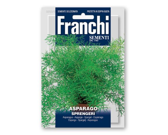 Semi Di Asparagus Sprengeri Fiori – Franchi Sementi