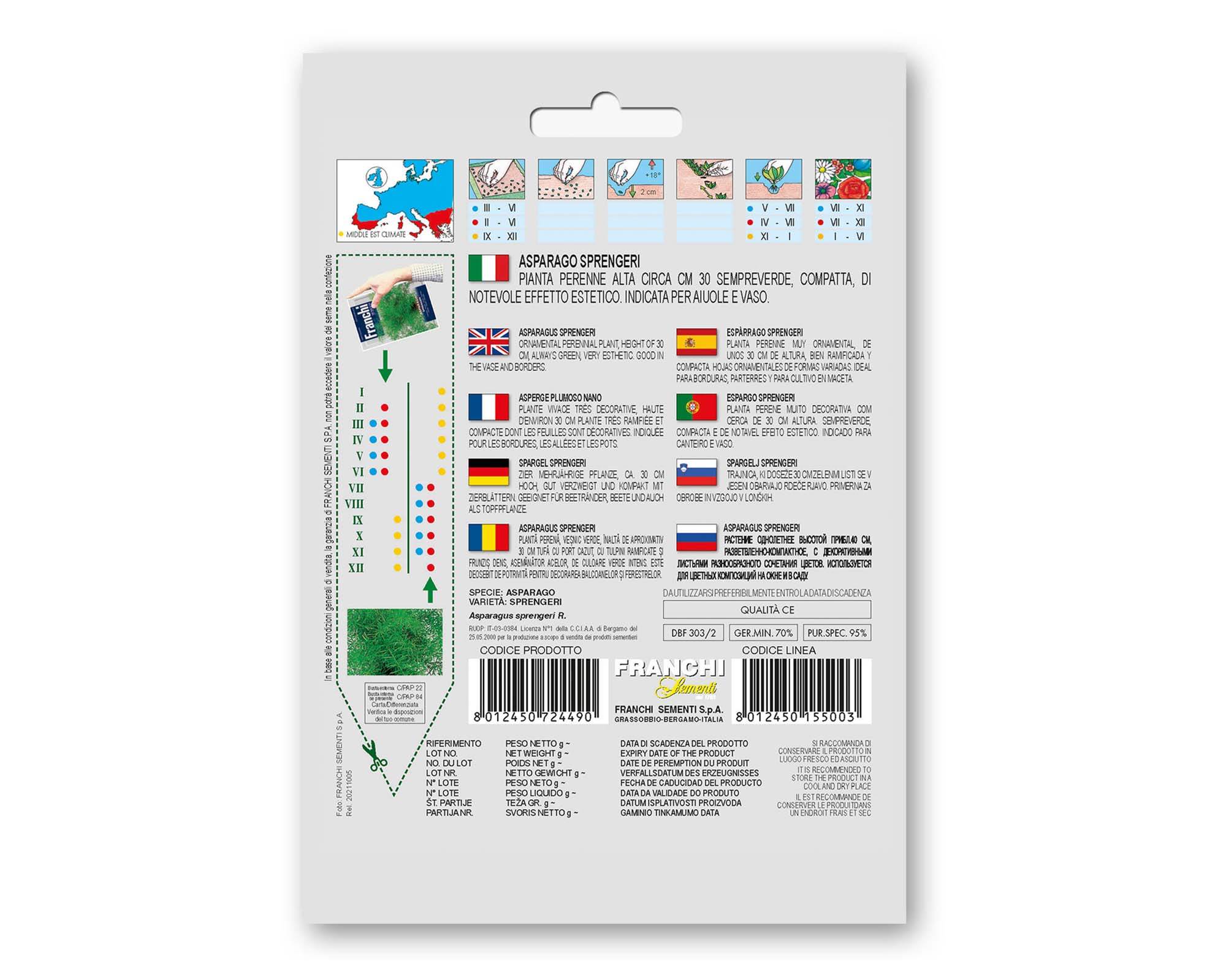 Semi di Asparagus Sprengeri Fiori - Franchi sementi - immagine 2