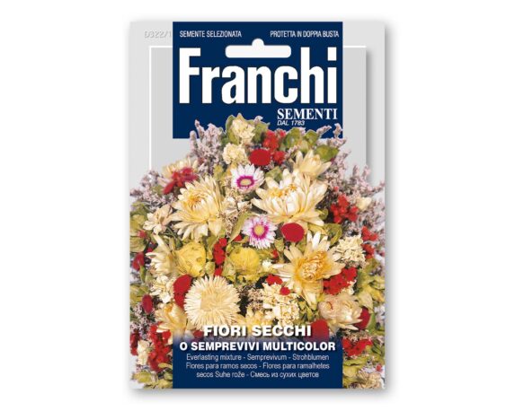 Semi di Fiori Secchi (Semprevivi) Multicolor – Franchi sementi