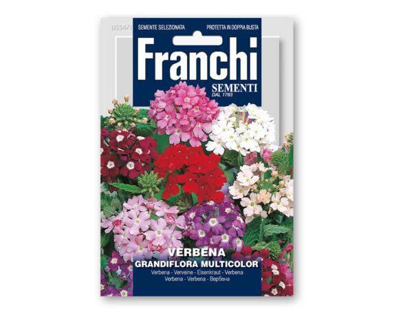 Semi Di Verbena Grandiflora Multicolor – Franchi Sementi