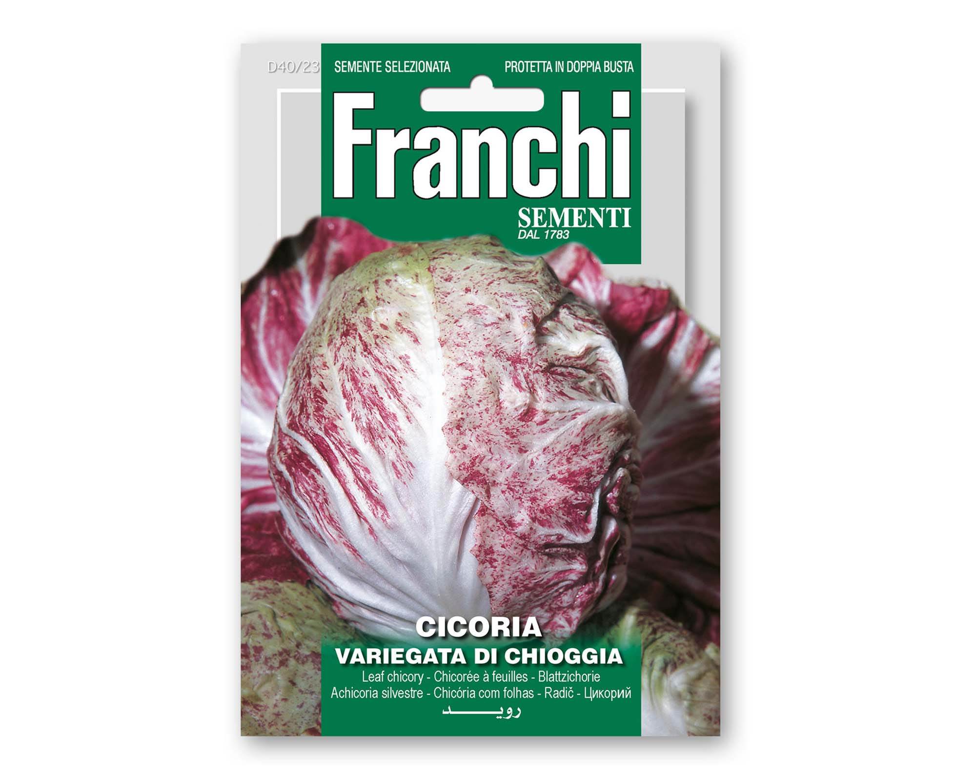 Semi di Cicoria Variegata Chioggia - Franchi sementi